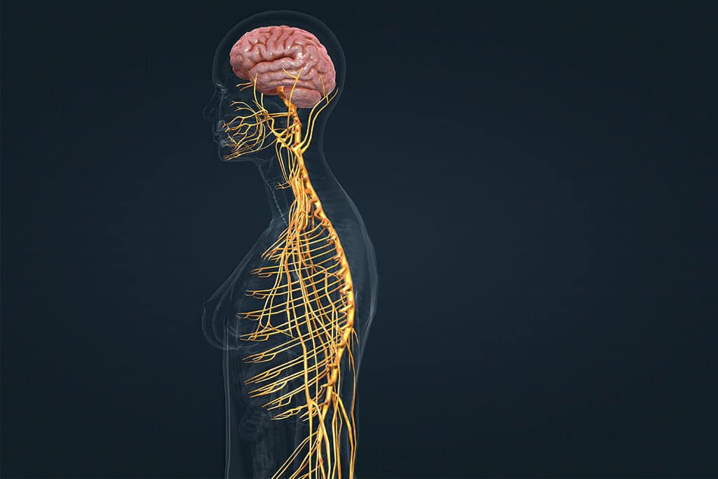 Electromyography Overview